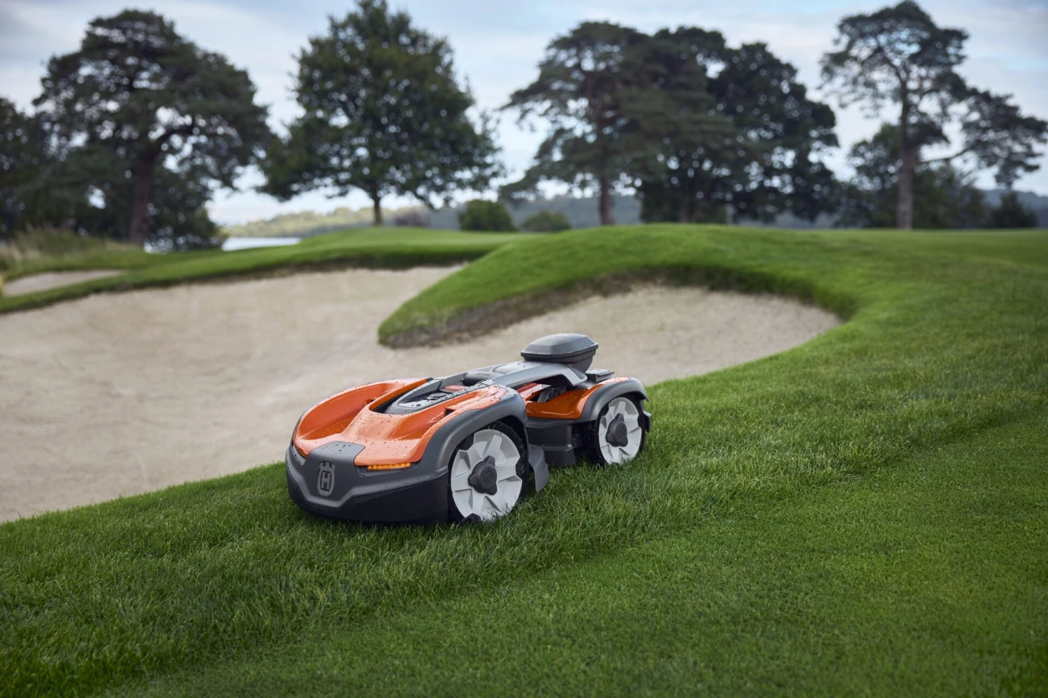 Homepage -Hoveniers Winkel 346356