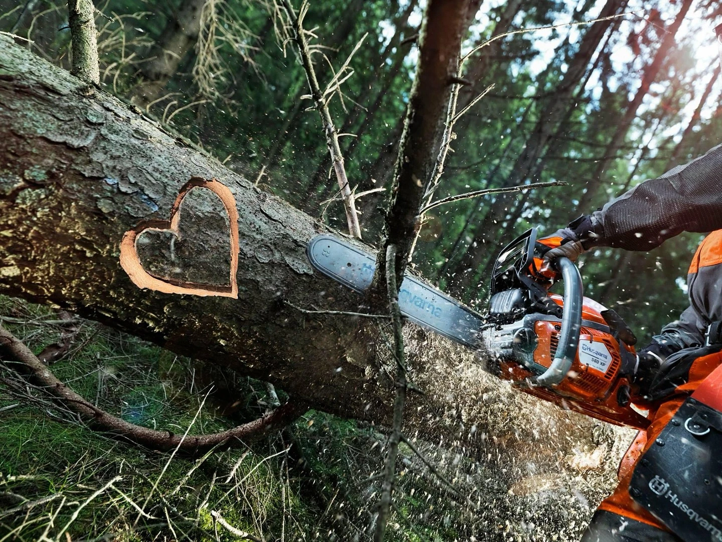 Homepage -Hoveniers Winkel 57767