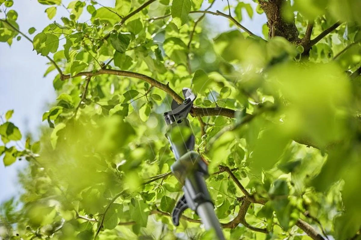 Gardena Accu-telescooptakkenschaar Solo 3 Gardena Accu-telescooptakkenschaar Solo - Afbeelding 3