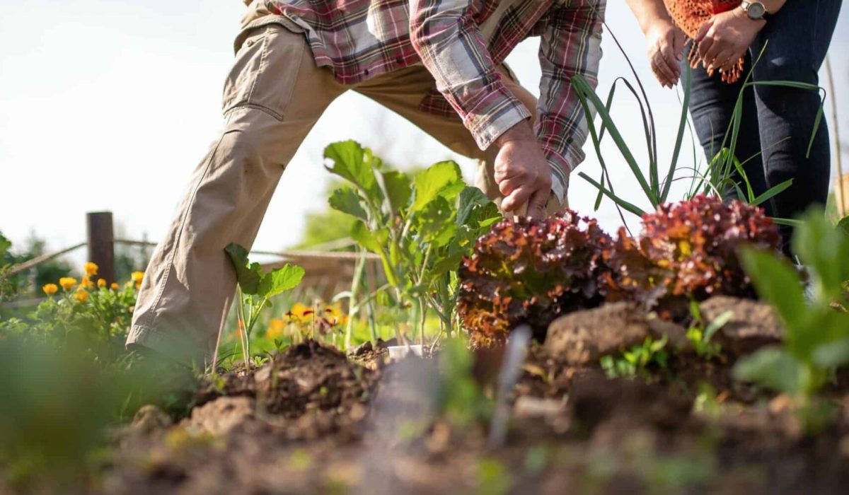 Your Ultimate Guide to Dressing for Valentine’s Day: Romantic and Elegant Looks 10 Your Ultimate Guide to Dressing for Valentine’s Day: Romantic and Elegant Looks -Hoveniers Winkel pexels photo 7658787 scaled scaled